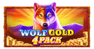 Wolf Gold 4 Pack